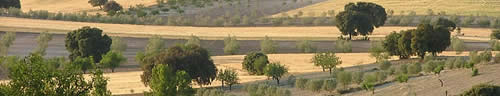 Homes in Andalucia inland property